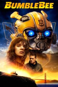 Protected: Bumblebee